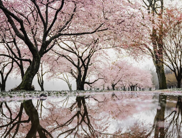 Style Cartel Horoscopes March 2021 Bring in the Spring Equinox