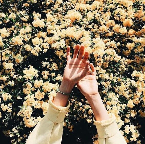 Spring aesthetic image