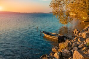 Horoscopes, November 2022 by Claudia Excellent Opportunities