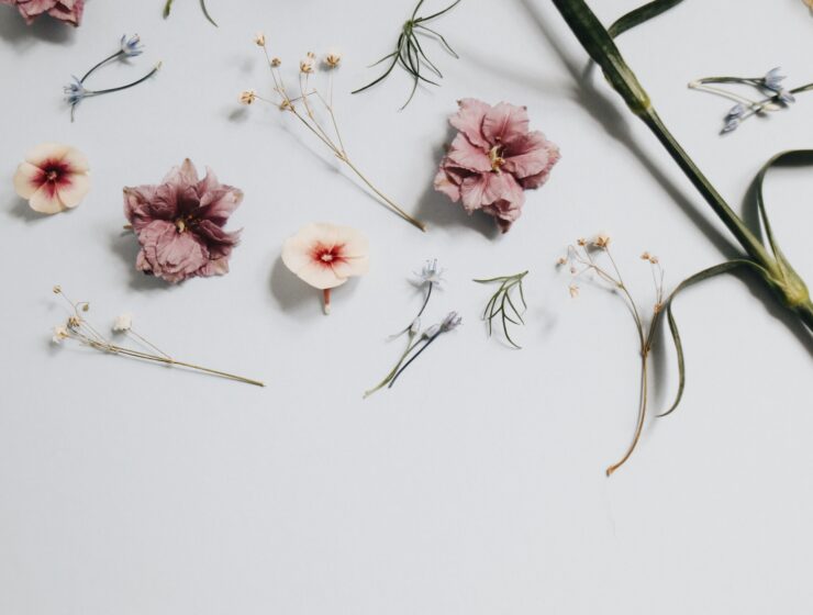 The 7 Most Popular Fragrance Notes in Women's Perfumes