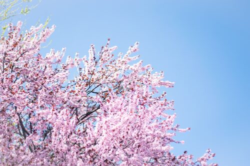 Horoscopes, April 2023 Is Time For Closure