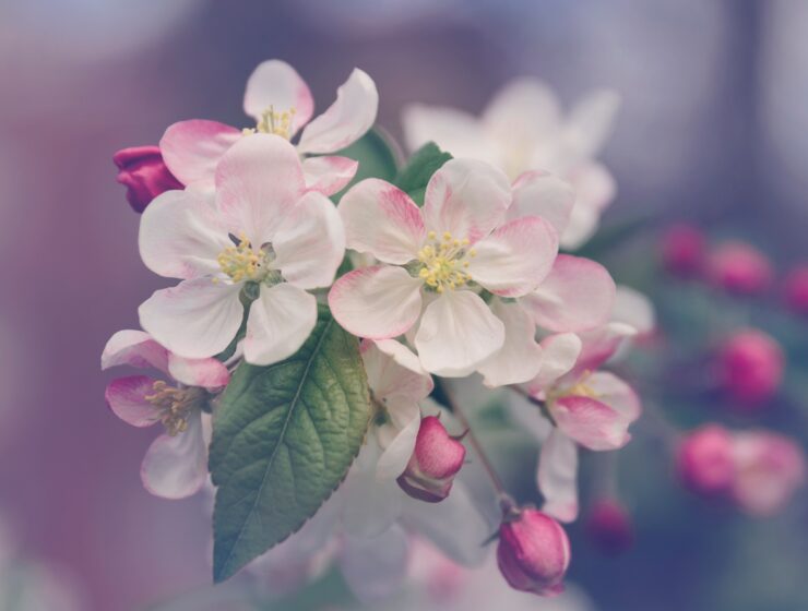 Style Cartel Monthly Horoscopes for June 2023 Hectic Month