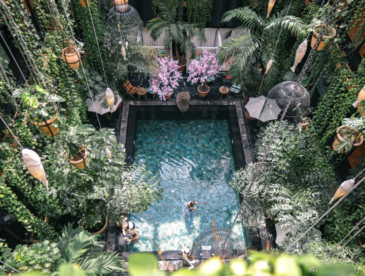 Junglefish Pool at hotel Manon Les Suites