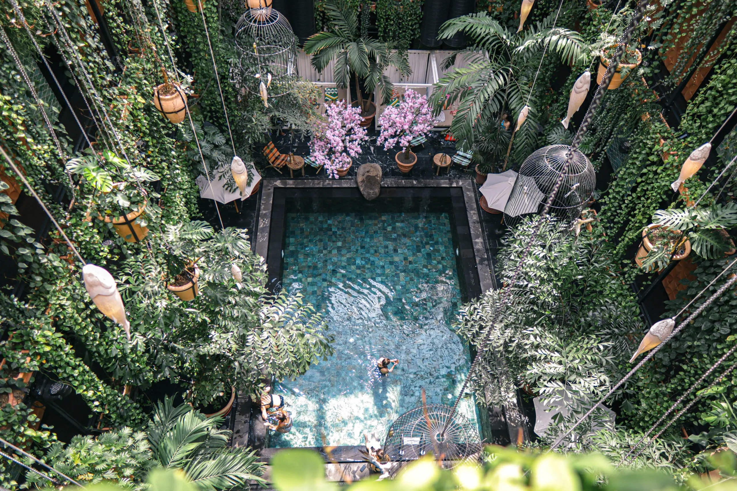 Junglefish Pool at hotel Manon Les Suites