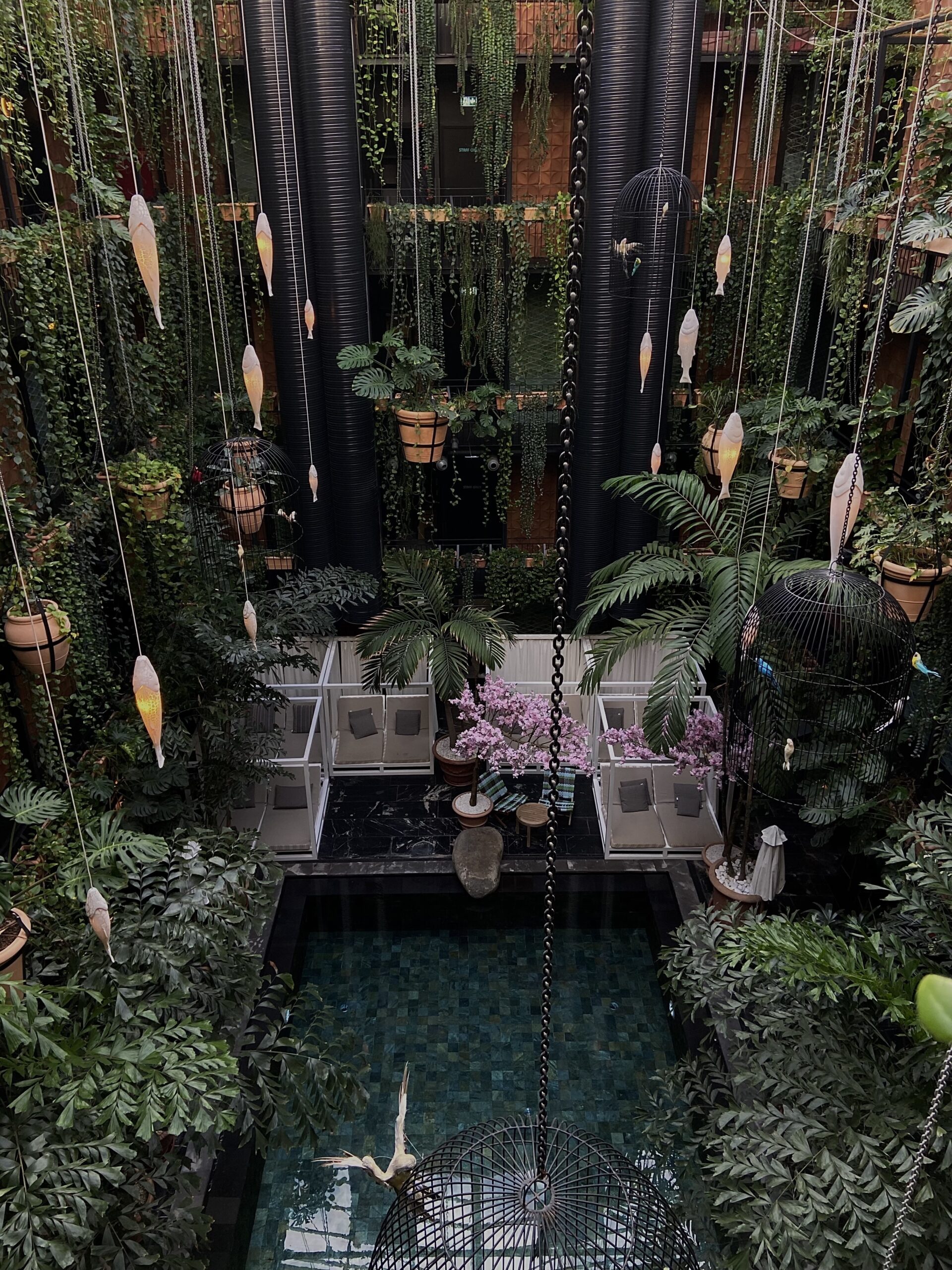 Junglefish Pool at hotel Manon Les Suites