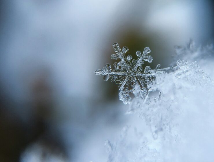 December 2024 Horoscopes: Saturn’s Lessons Conclude the Year By ClaudiaVannini