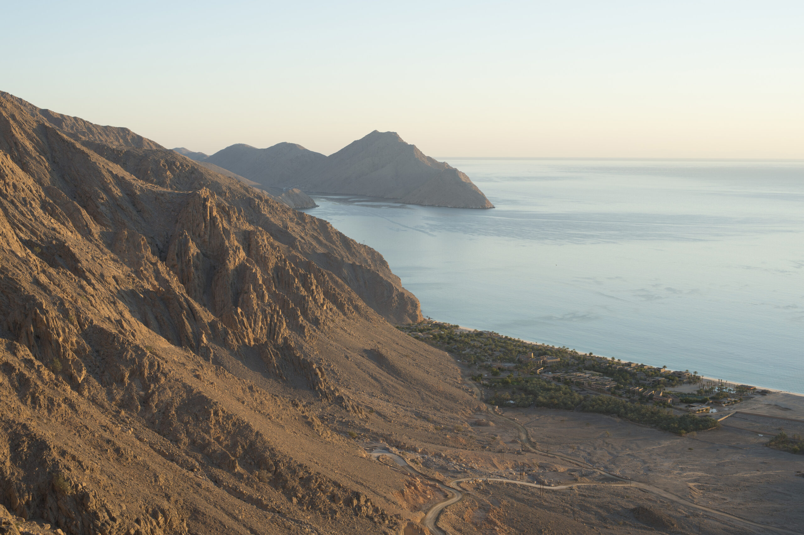 From Desert Sands to Culinary Heights: The Middle East's Ascendant Star