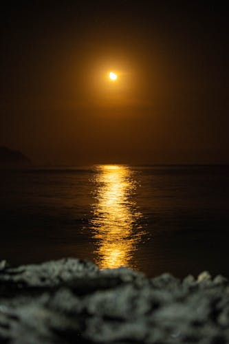 A crescent moon casts a golden reflection on calm ocean waters at night.