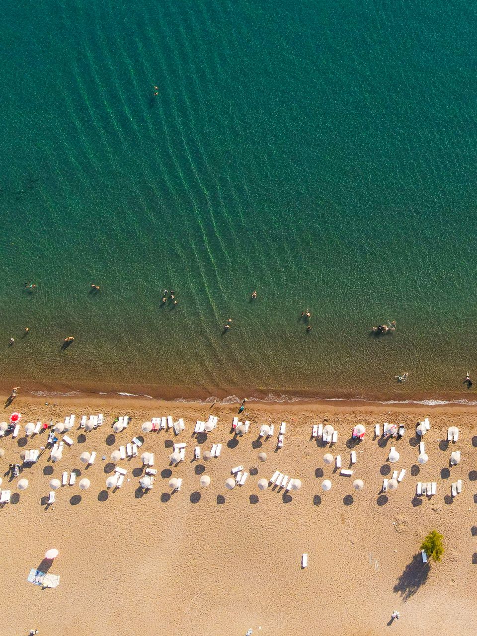 July 2026 Monthly Horoscope: Top-down view of a sunny beach with sunbathers and clear ocean water. Ideal for vacation themes.